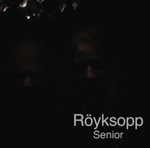 Pochette de l'album Senior (2010)
